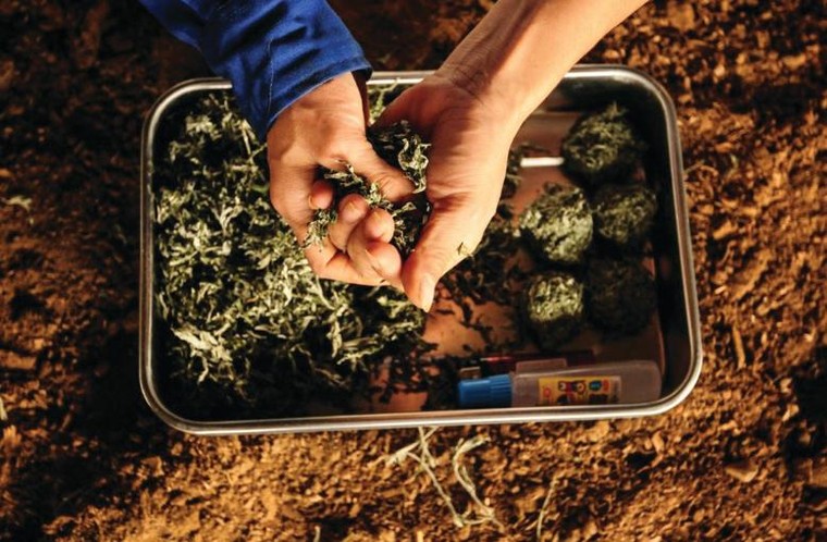 Tập đoàn TH nhận 3 Cúp 'Sản phẩm hữu cơ vì sức khỏe cộng đồng' ảnh 5