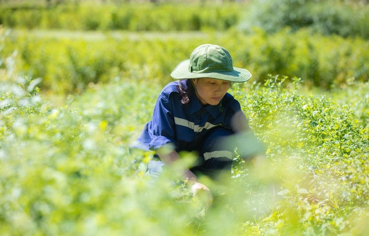 Tập đoàn TH nhận 3 Cúp 'Sản phẩm hữu cơ vì sức khỏe cộng đồng' ảnh 4