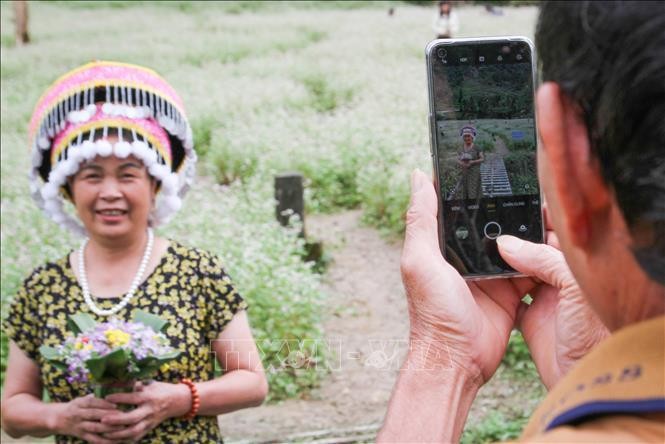 Hà Giang mùa hoa tam giác mạch ảnh 1