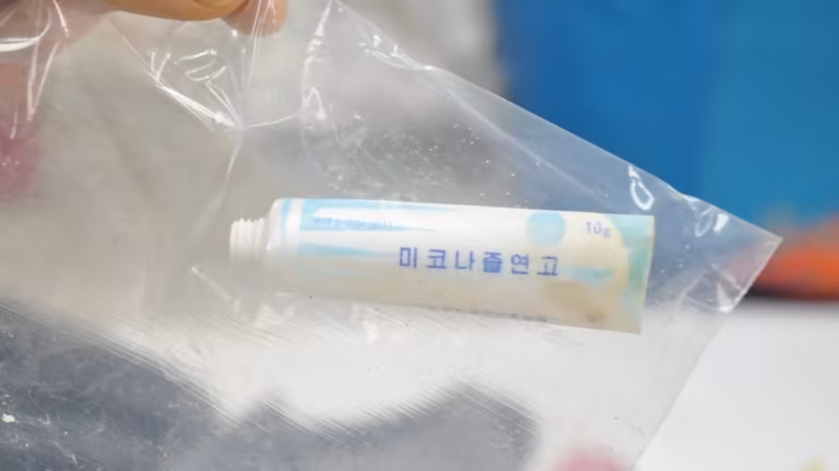 Giáo sư Hàn Quốc chuyên nghiên cứu rác thải từ Triều Tiên ảnh 2