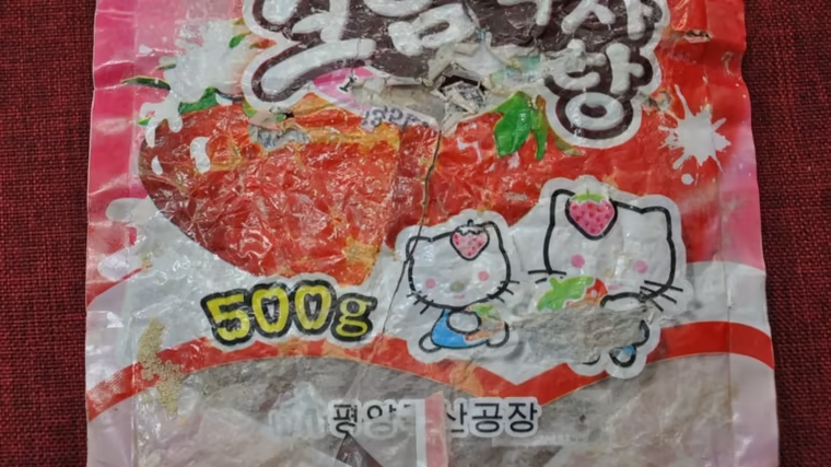 Giáo sư Hàn Quốc chuyên nghiên cứu rác thải từ Triều Tiên ảnh 3