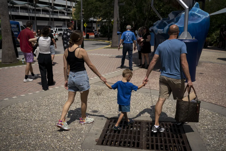 Cuộc đời ngắn ngủi của Milo ảnh 5