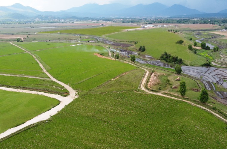 Vinamilk đẩy mạnh đầu tư và khai thác thị trường nước ngoài ảnh 2