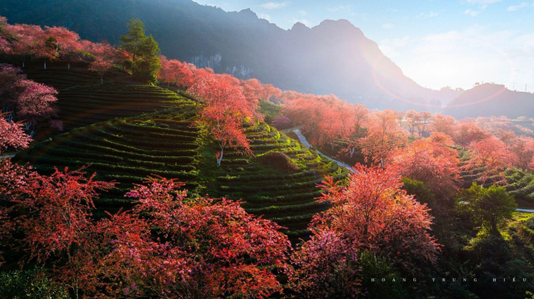 Top những trải nghiệm đón năm mới không thể bỏ lỡ ở Sa Pa ảnh 2