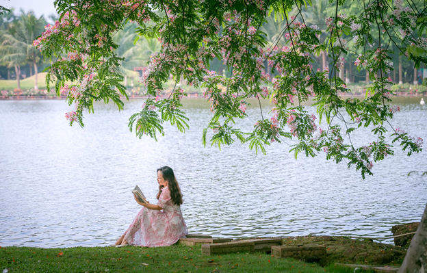 Ngồi nơi cửa nhà, nghĩ về hạnh phúc ảnh 4