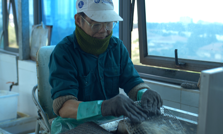 Thợ rửa bát ảnh 3