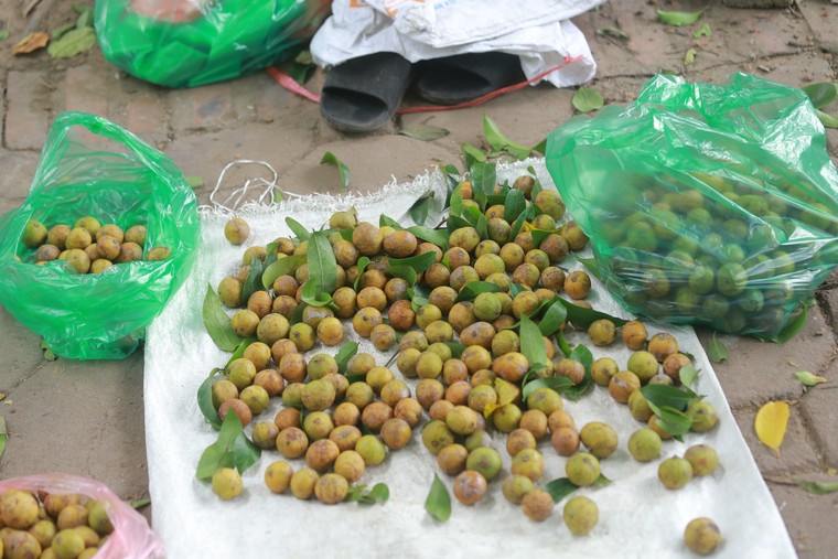 Có hẹn với mùa thu ảnh 7