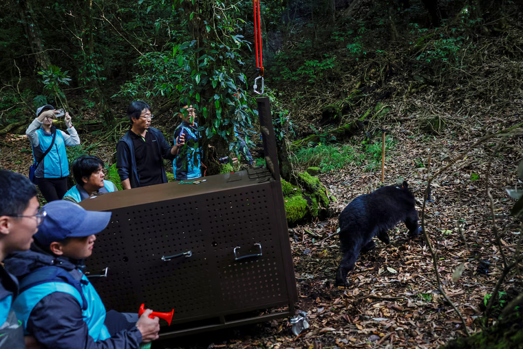 Thợ săn, nhà bảo tồn hợp lực bảo vệ gấu đen Formosan ảnh 1