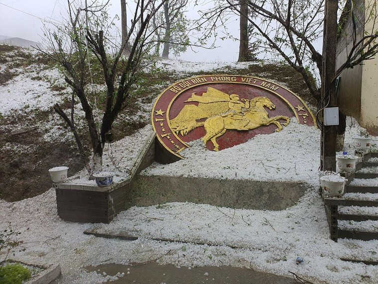 Tây Bắc: Mưa đá bất thường, hoa màu thiệt hại nặng ảnh 3