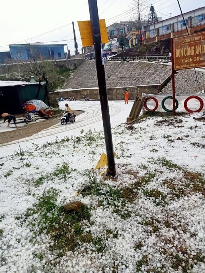 Tây Bắc: Mưa đá bất thường, hoa màu thiệt hại nặng ảnh 5