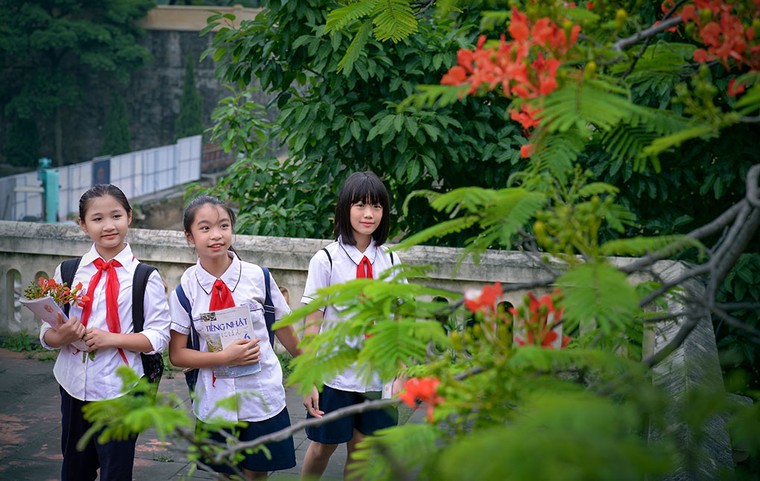 Vòng đời của cây ảnh 1