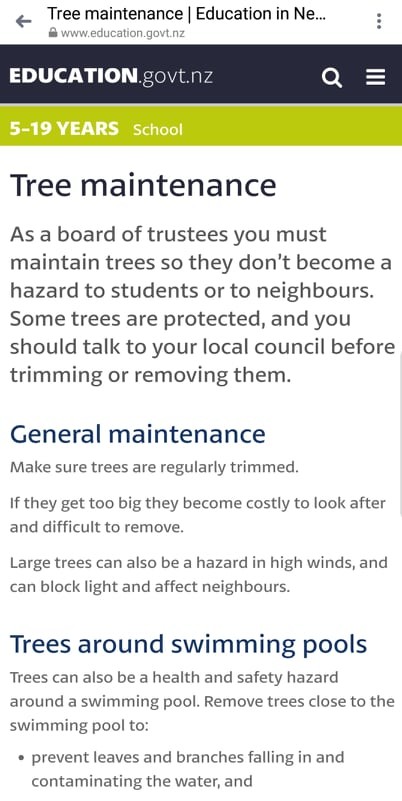 Vòng đời của cây ảnh 4