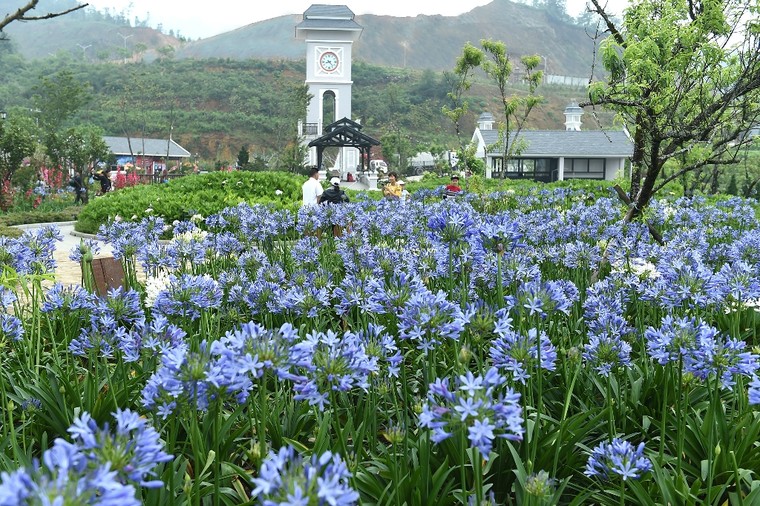 Hà Nội nóng hơn 40 độ C, người thành phố check-in đỉnh Fansipan ảnh 6