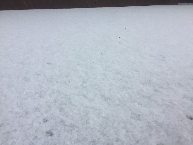 Sáng nay tuyết rơi phủ trắng đỉnh Fansipan ảnh 8