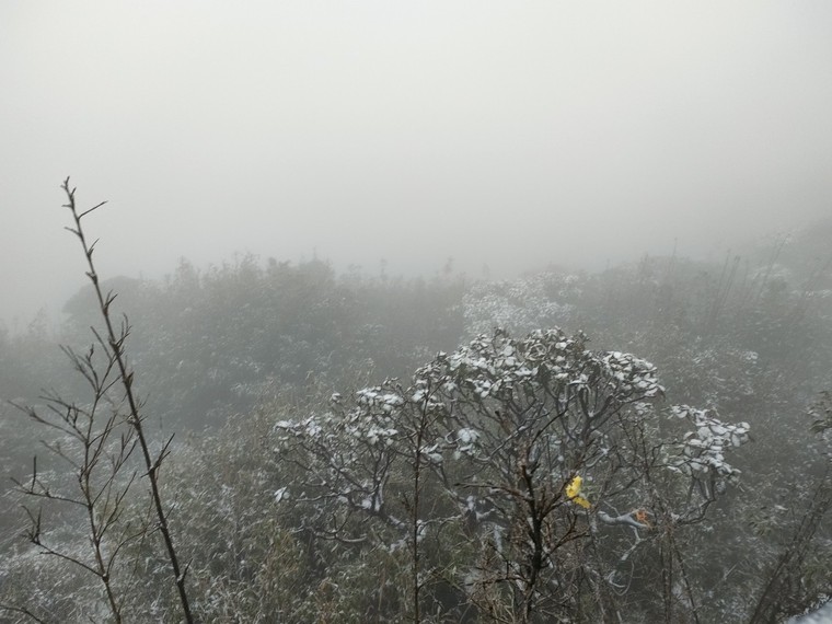 Sáng nay tuyết rơi phủ trắng đỉnh Fansipan ảnh 7