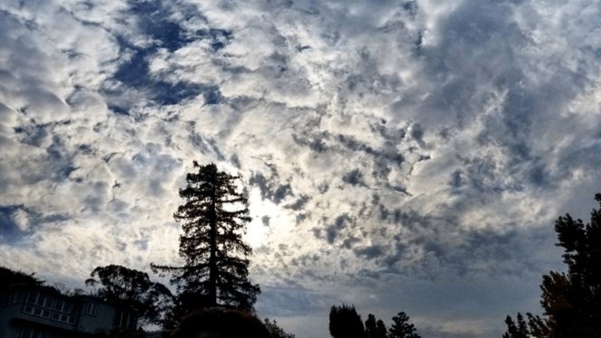 Hé lộ nơi chụp ảnh cưới đẹp như tranh của cặp đôi Hậu duệ mặt trời ảnh 3