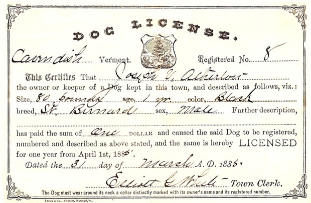 Các quy định khắt khe về quản lý thú cưng trên thế giới ảnh 2