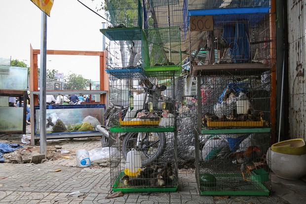 Chính thức xóa sổ 50 ki-ốt gần sân bay Tân Sơn Nhất ảnh 7