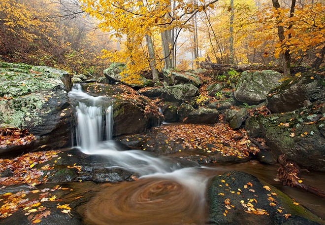 10 nơi ngắm lá thu đẹp mê hồn ở Mỹ ảnh 8