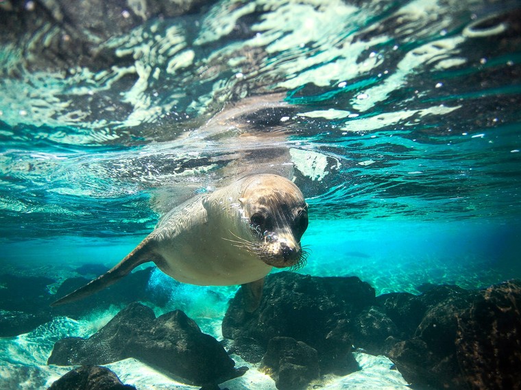 Vịnh Hạ Long lọt top các di sản đẹp nhất thế giới ảnh 8