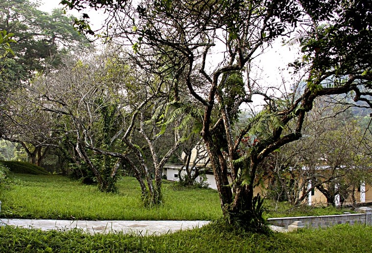 Thiên nhiên tuyệt đẹp trong Vườn quốc gia Cúc Phương ảnh 8