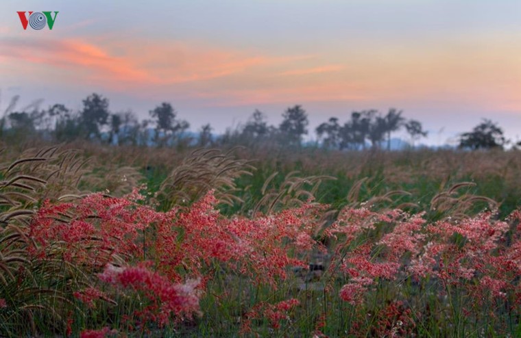 Hạ Long dịu dàng, yên bình ngày vào thu ảnh 10