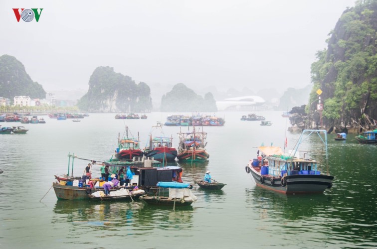 Hạ Long dịu dàng, yên bình ngày vào thu ảnh 1