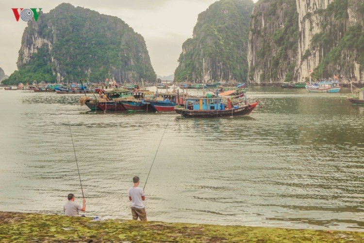 Hạ Long dịu dàng, yên bình ngày vào thu ảnh 7