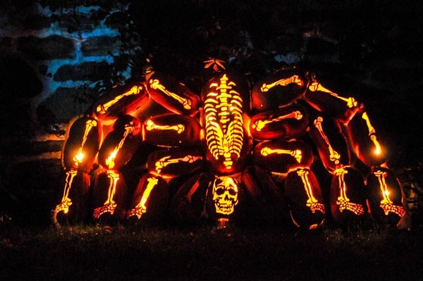 Những ‘kiệt tác’ nghệ thuật từ quả bí ngô tưởng chỉ có trong xứ sở thần tiên ảnh 6