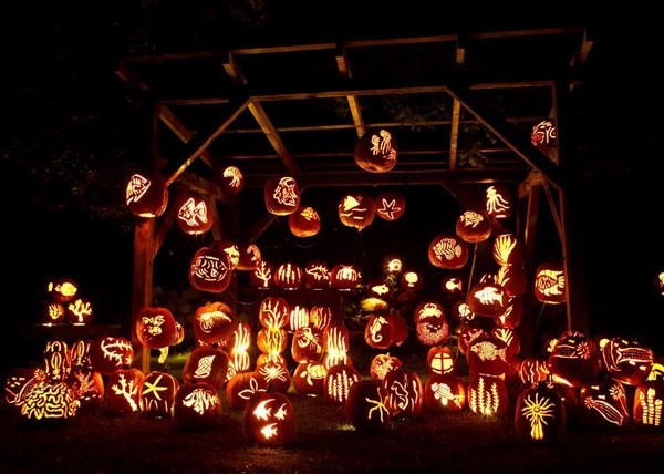 Những ‘kiệt tác’ nghệ thuật từ quả bí ngô tưởng chỉ có trong xứ sở thần tiên ảnh 10