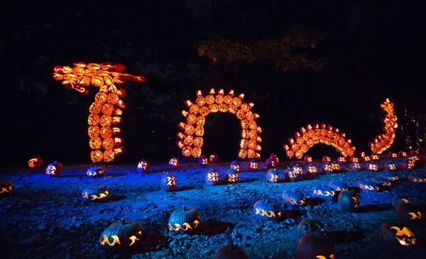 Những ‘kiệt tác’ nghệ thuật từ quả bí ngô tưởng chỉ có trong xứ sở thần tiên ảnh 5