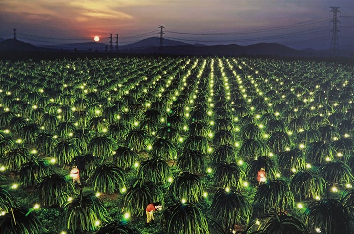 100 bức ảnh đẹp Việt Nam được giới thiệu tới đại biểu dự APEC 2017 ảnh 22