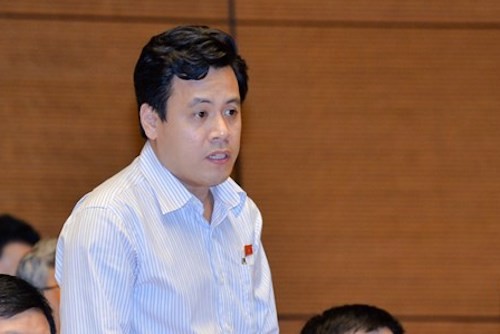 Chính phủ trình hàng loạt cơ chế đặc thù để phát triển TP HCM ảnh 1