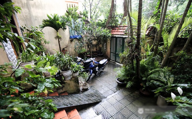 Cuộc sống giàu có như mơ của NSND Hoàng Dũng ảnh 4