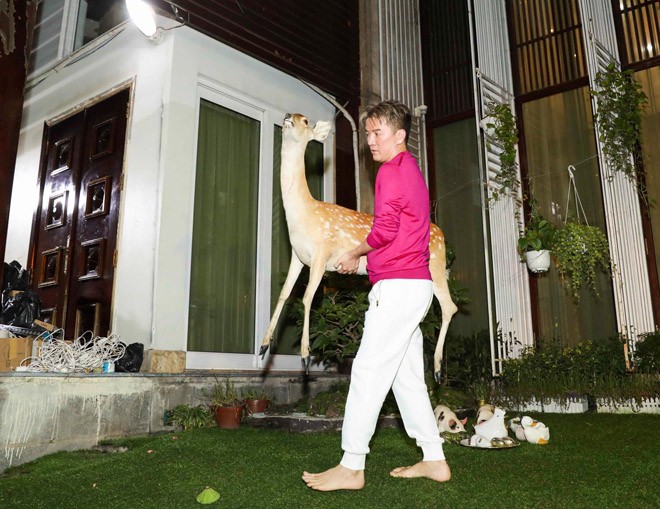 Mr. Đàm trang hoàng biệt thự triệu đô đón Noel ảnh 4