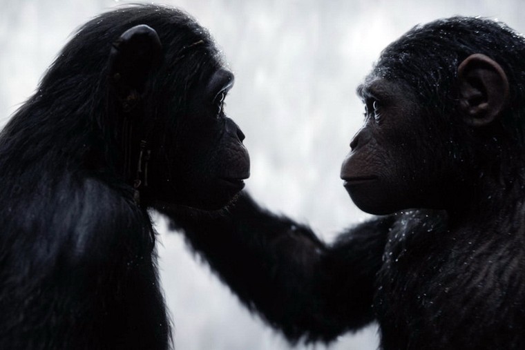 10 bộ phim có kỹ xảo ấn tượng nhất năm 2017 ảnh 10