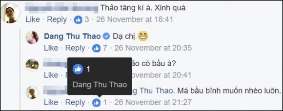Đặng Thu Thảo 'dính' nghi vấn mang bầu ảnh 4