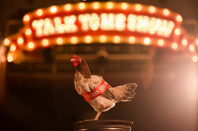 Chi Pu chi gần 10 tỷ đồng cho đồ trang sức trong MV mới ảnh 1