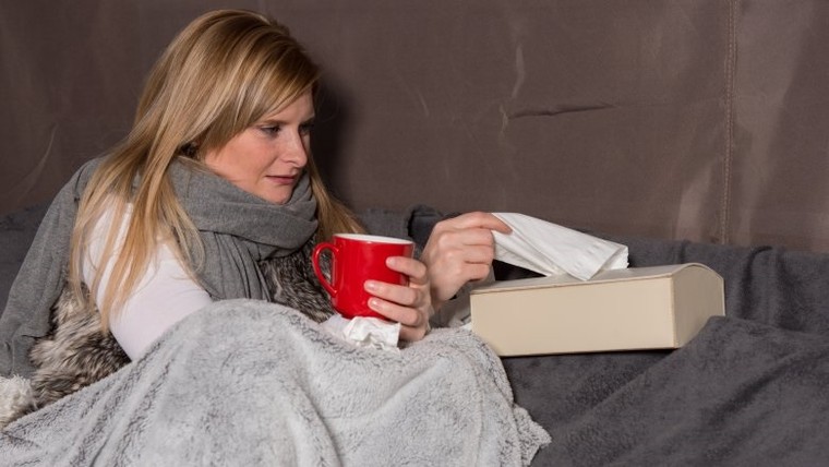 Lợi ích sức khỏe từ cây quế ảnh 1