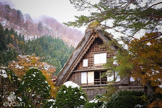 Quê hương của chú mèo máy Doraemon đẹp như cổ tích ảnh 6