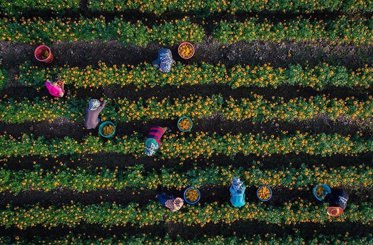 Thế giới nhìn từ trên cao xuống sẽ như thế nào? ảnh 1