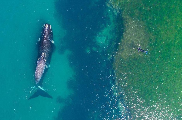 Thế giới nhìn từ trên cao xuống sẽ như thế nào? ảnh 5