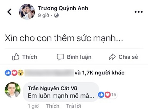 Tim và Trương Quỳnh Anh đã quyết định ly thân? ảnh 2