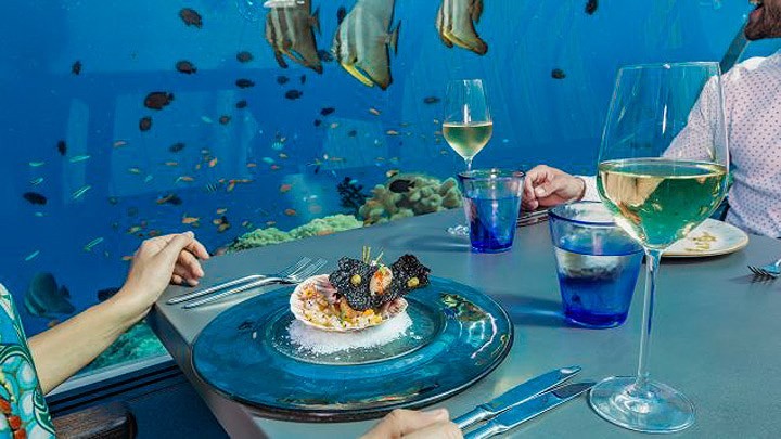 Khám phá nhà hàng kính dưới nước lớn nhất thế giới ảnh 3