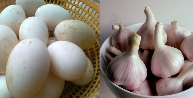 Những thực phẩm không được kết hợp với tỏi ảnh 1