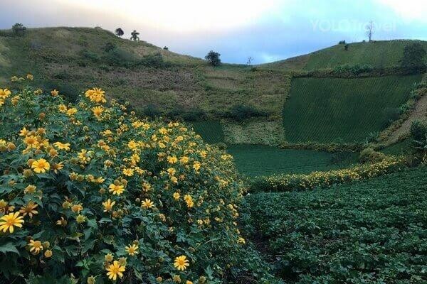  Dành trọn kì nghỉ Tết để vi vu với nắng và gió ở Pleiku ảnh 7