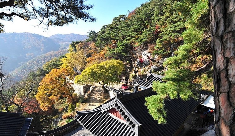 Vẻ đẹp của quê hương HLV Park Hang Seo ảnh 21