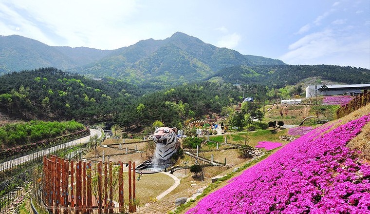 Vẻ đẹp của quê hương HLV Park Hang Seo ảnh 23