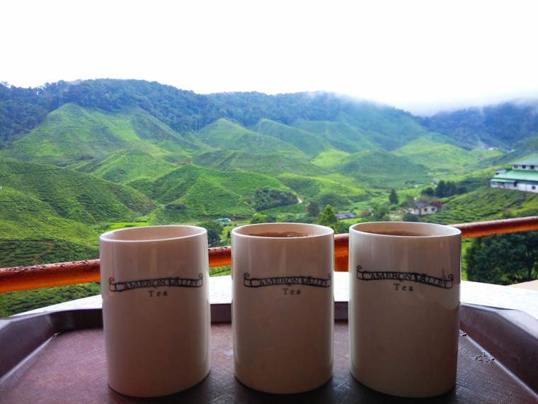  Khám phá 'nước Anh thu nhỏ' giữa vùng cao nguyên của Malaysia ảnh 1