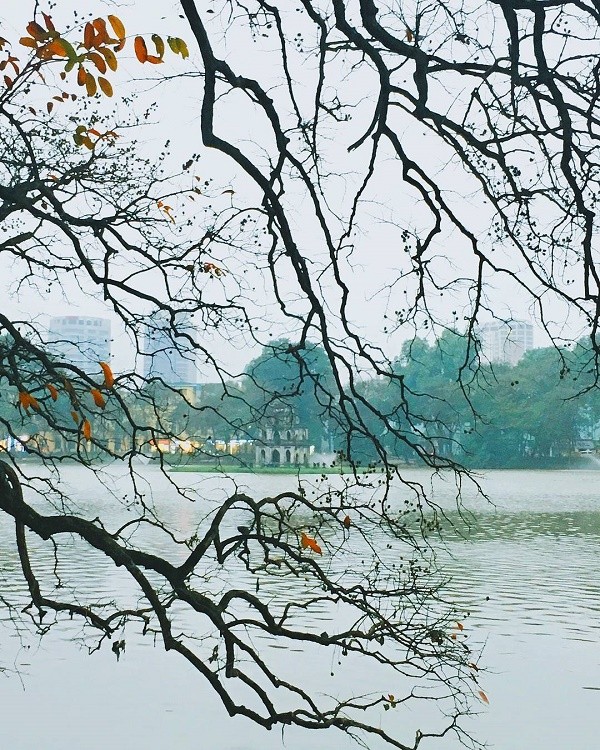 5 địa điểm chụp ảnh Tết 'chuẩn không cần chỉnh' ảnh 3